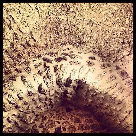 Bed & Breakfast Le Pagliare Del Gran Sasso 3*