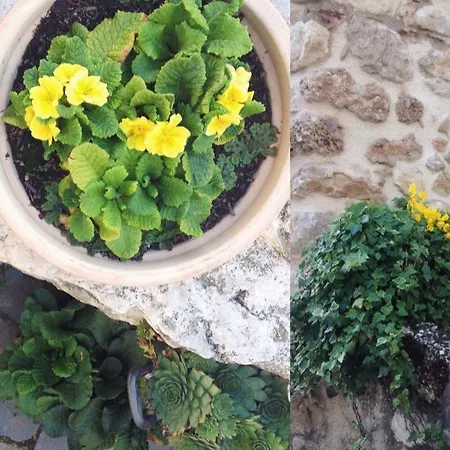 Le Pagliare Del Gran Sasso Bed & Breakfast 3*